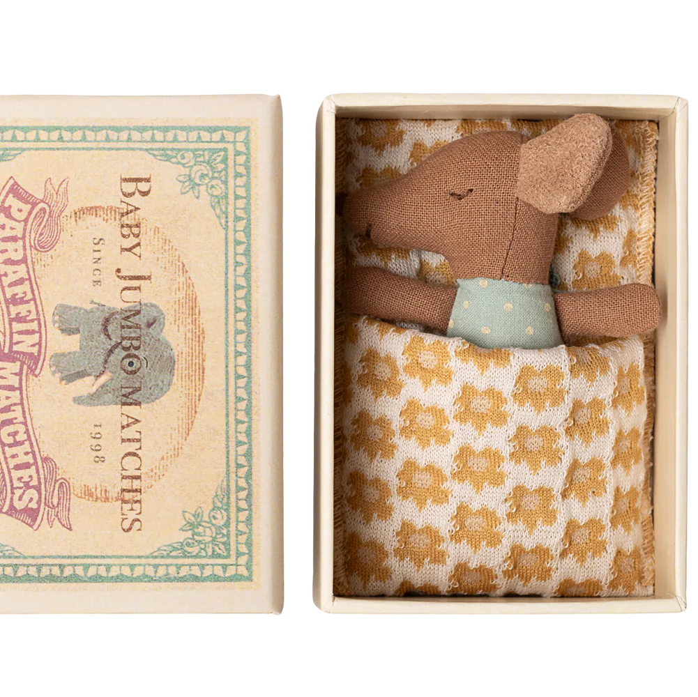 Baby Boy Mouse in the Matchbox