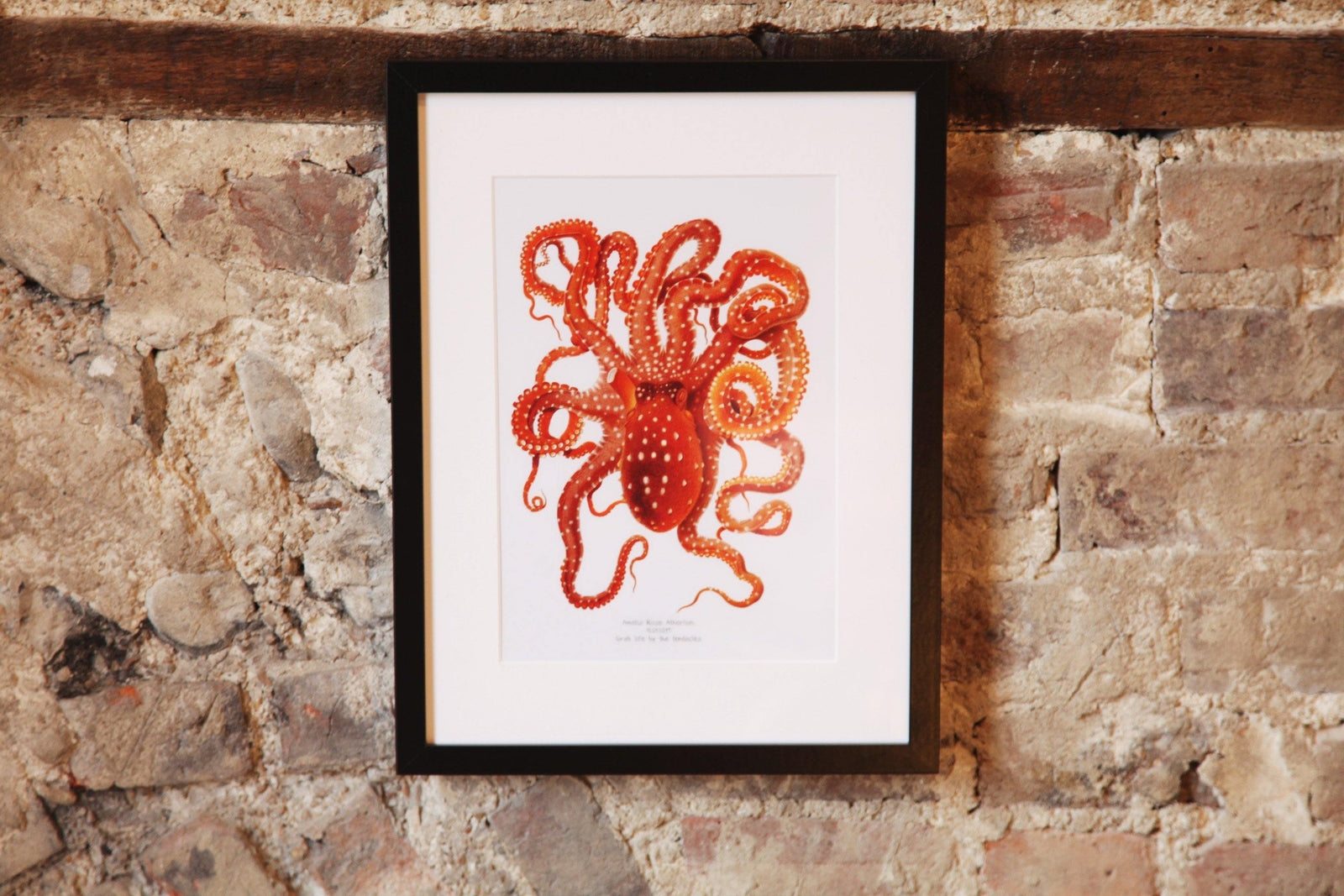 The Power of Personalisation - Loula and Deer