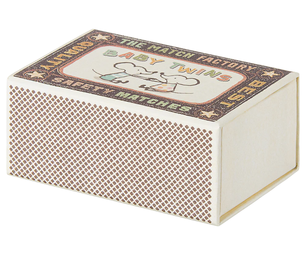 Baby Girl and Boy Twin Mice in Matchbox