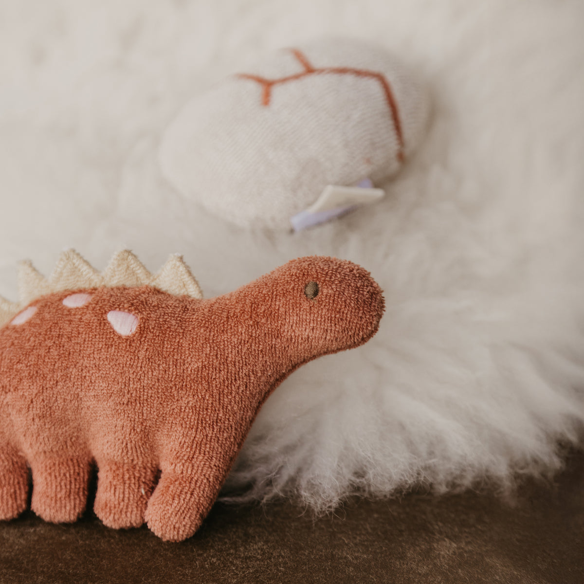 Roarr Dinosaur Gift Set