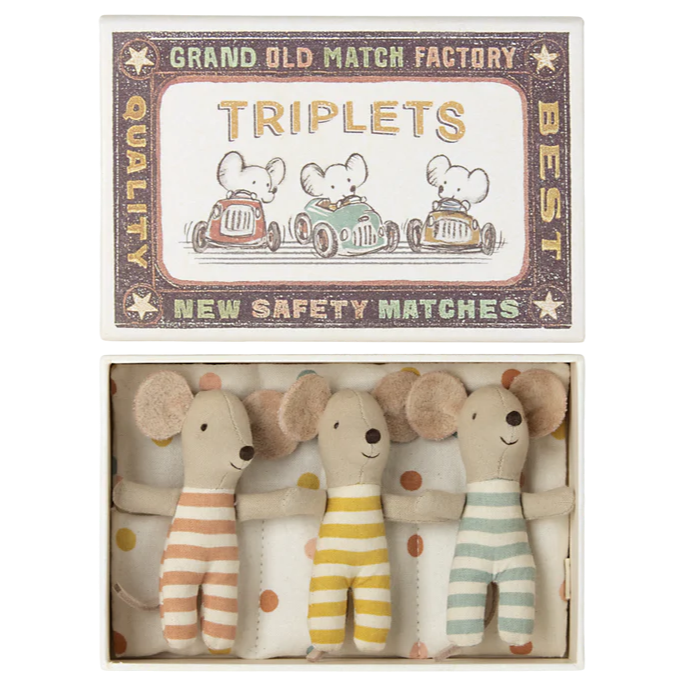 Baby Mice Triplets in a Matchbox