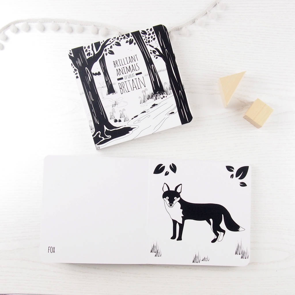 Black and White Baby Book