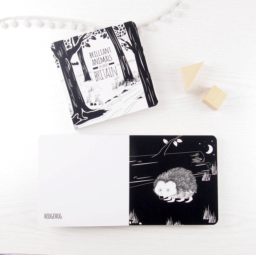 Black and White Baby Book