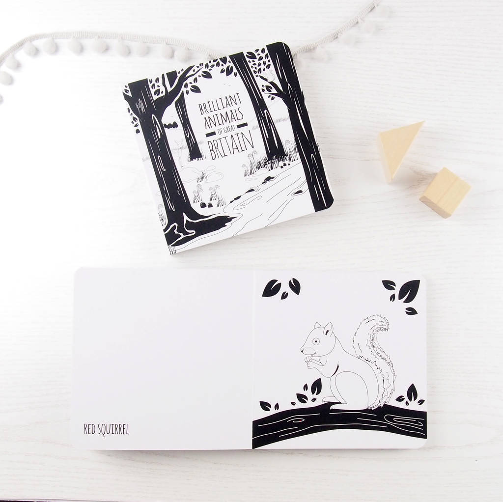 Black and White Baby Book