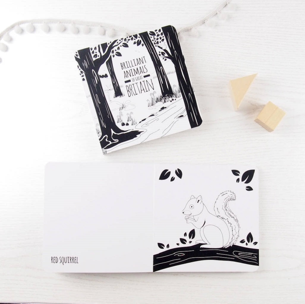 Black And White Baby Book