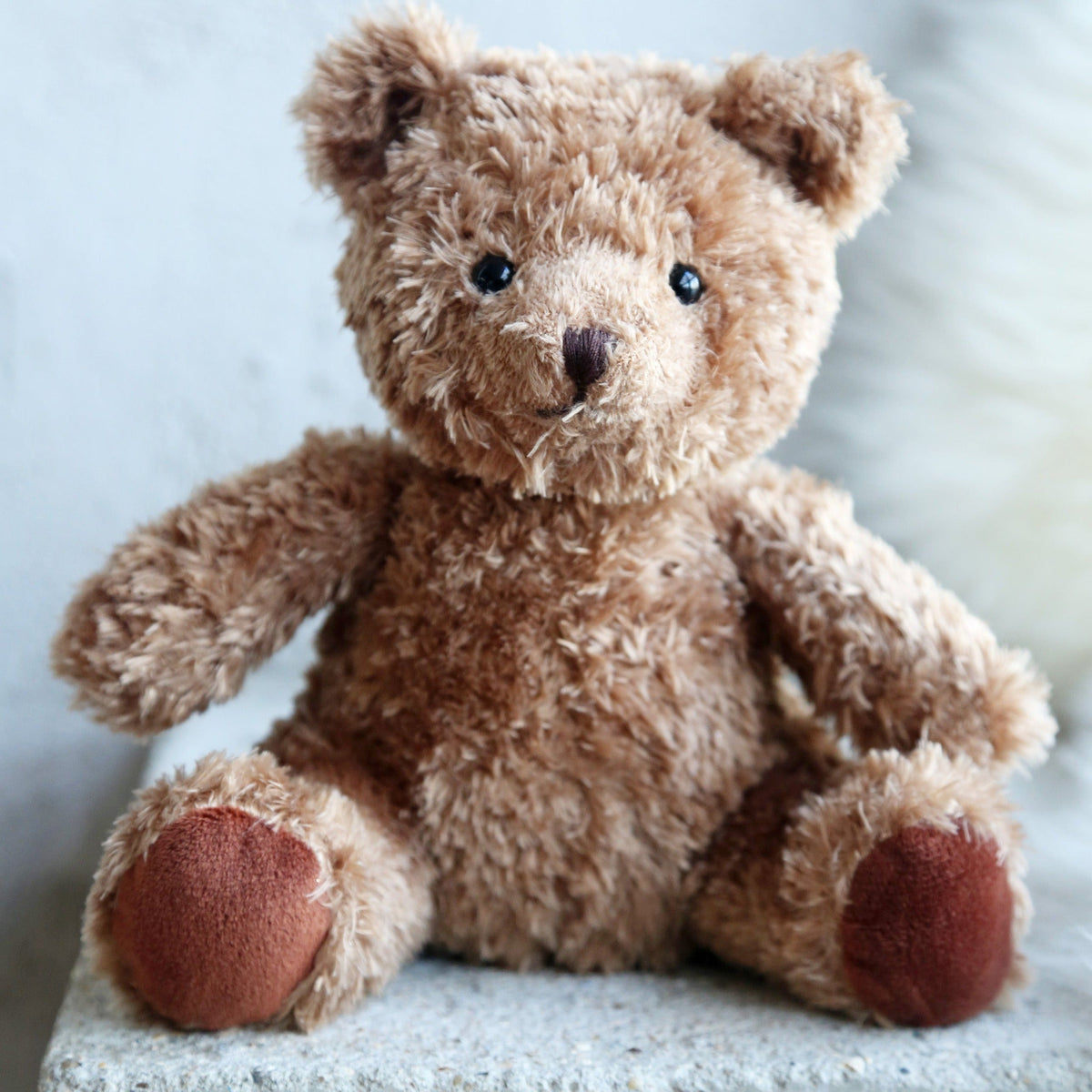 Brown Teddy Bear Paulo