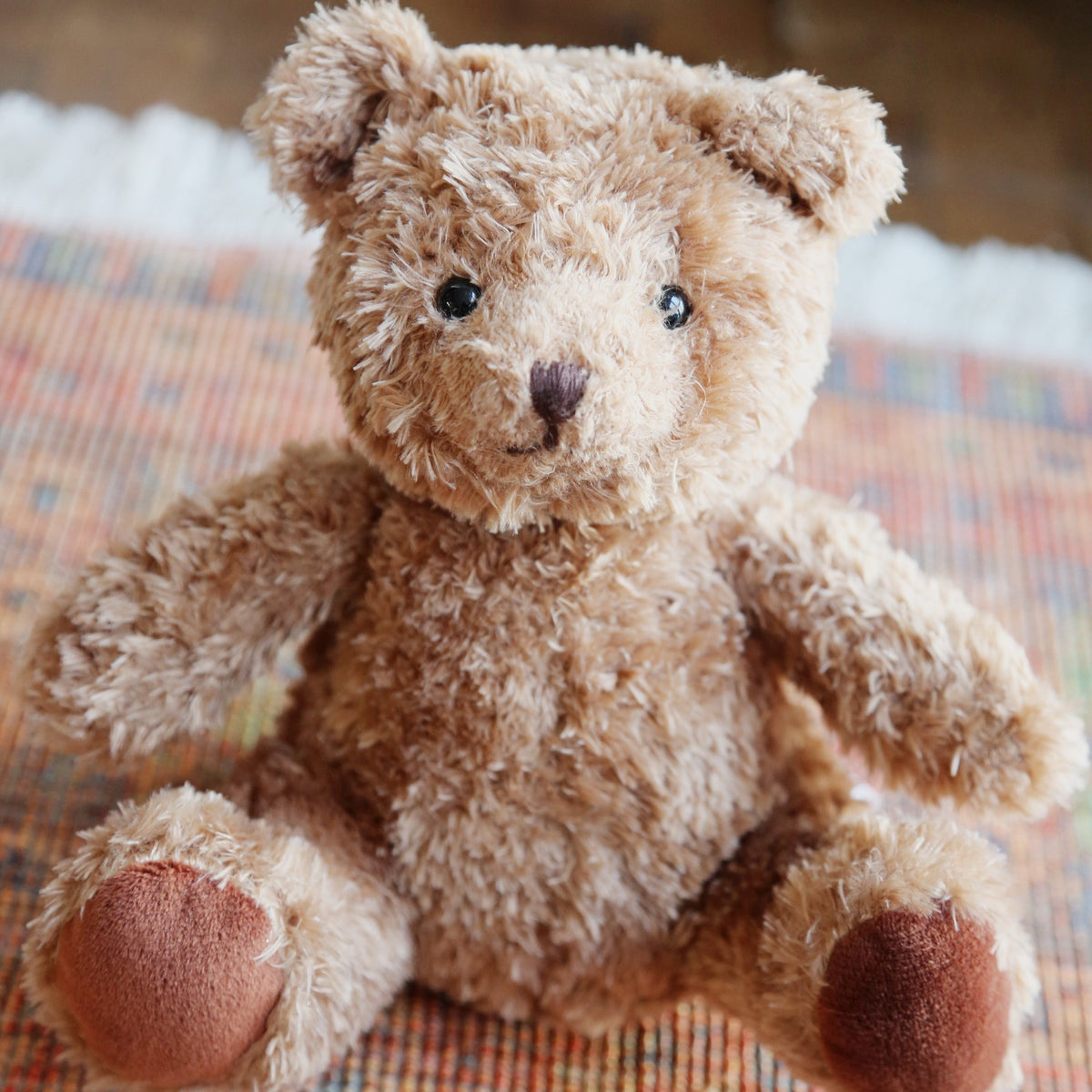 Brown Teddy Bear Paulo