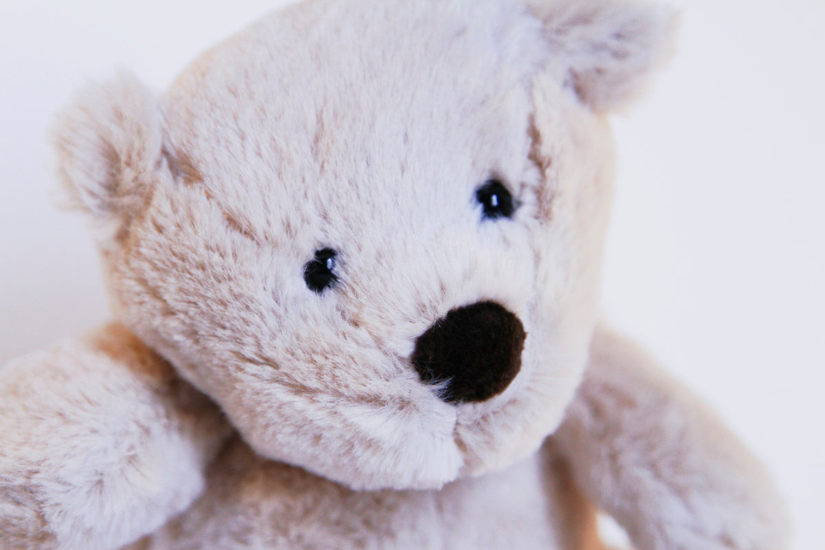Teddy Bear Plush Toy