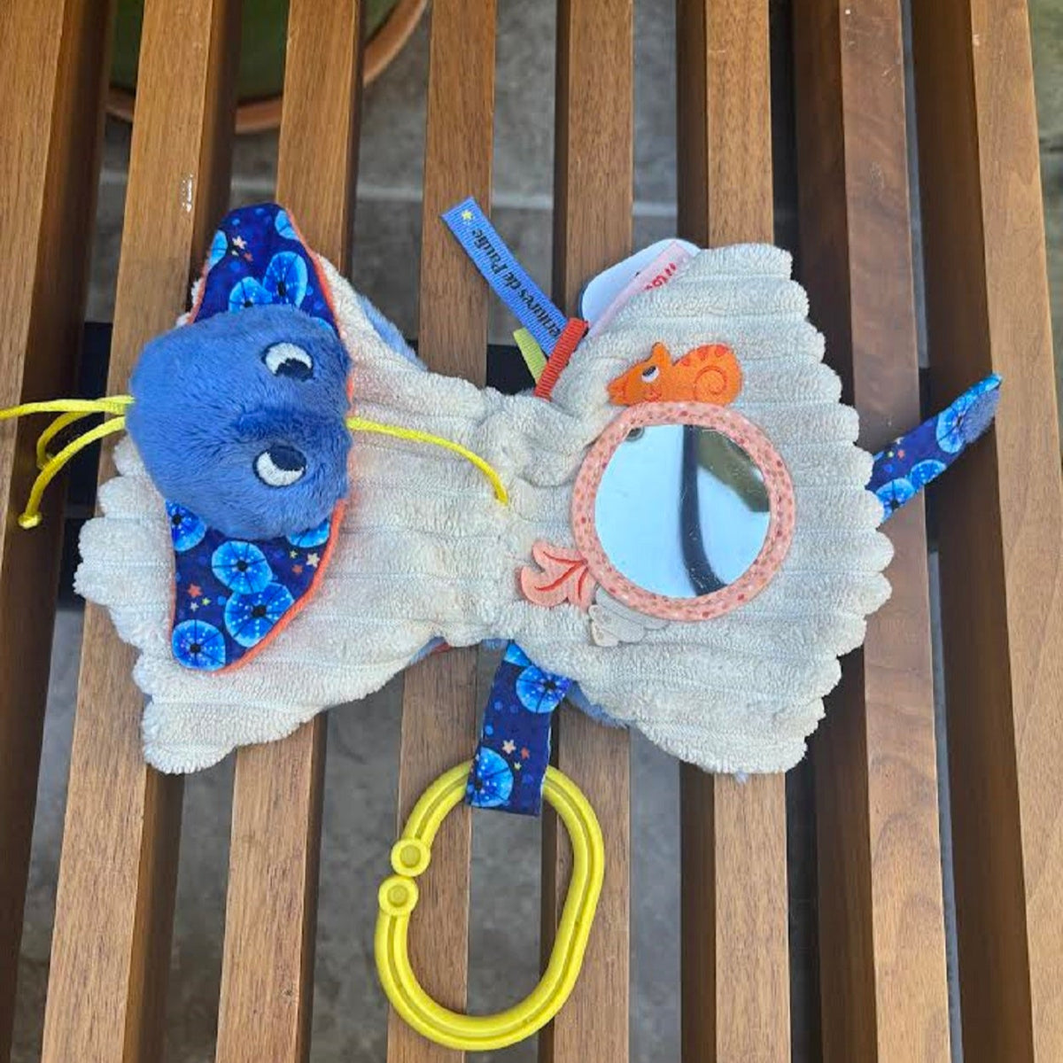 Blue Ray Activity Toy by Moulin Roty