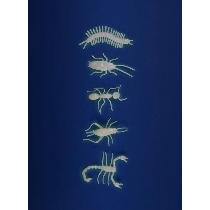 Glow In The Dark Insects By Moulin Roty