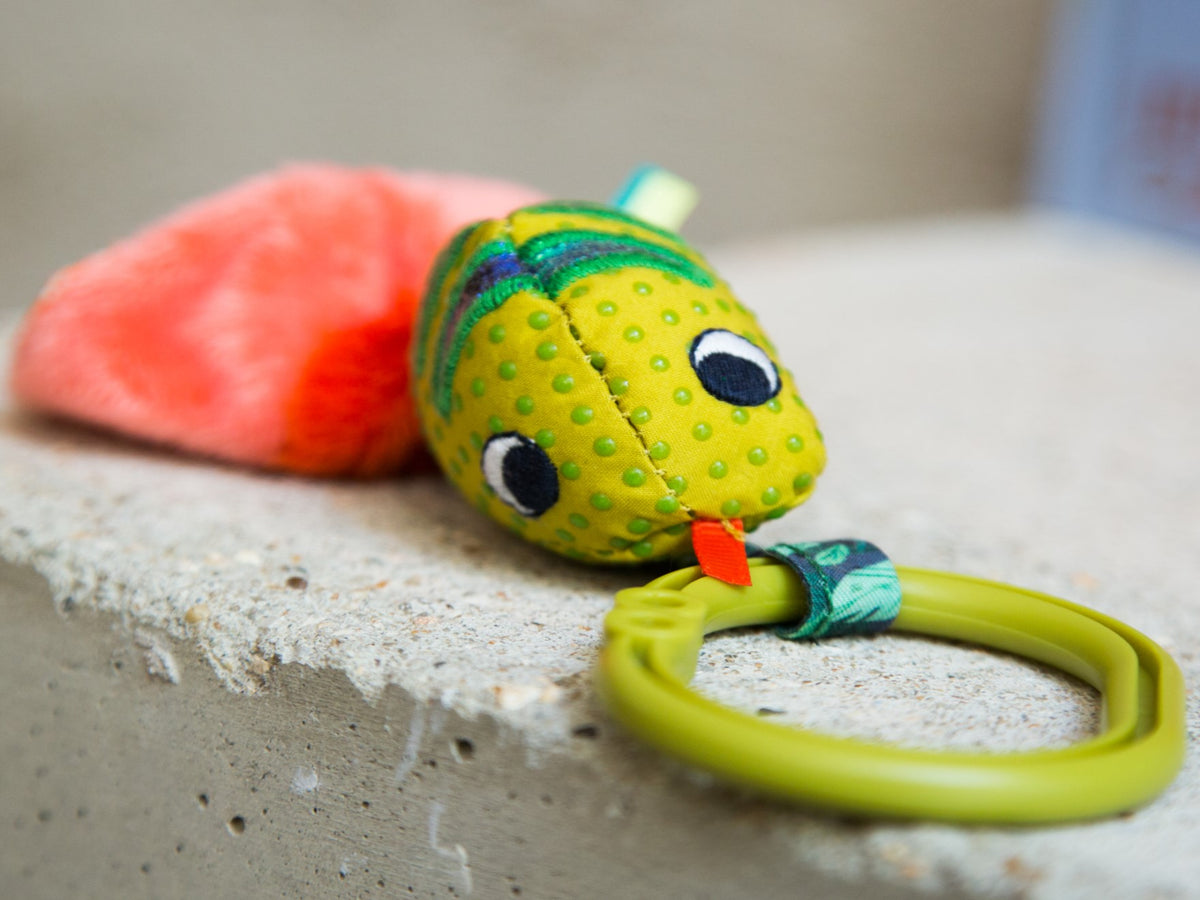 Baby Chameleon Activity Toy