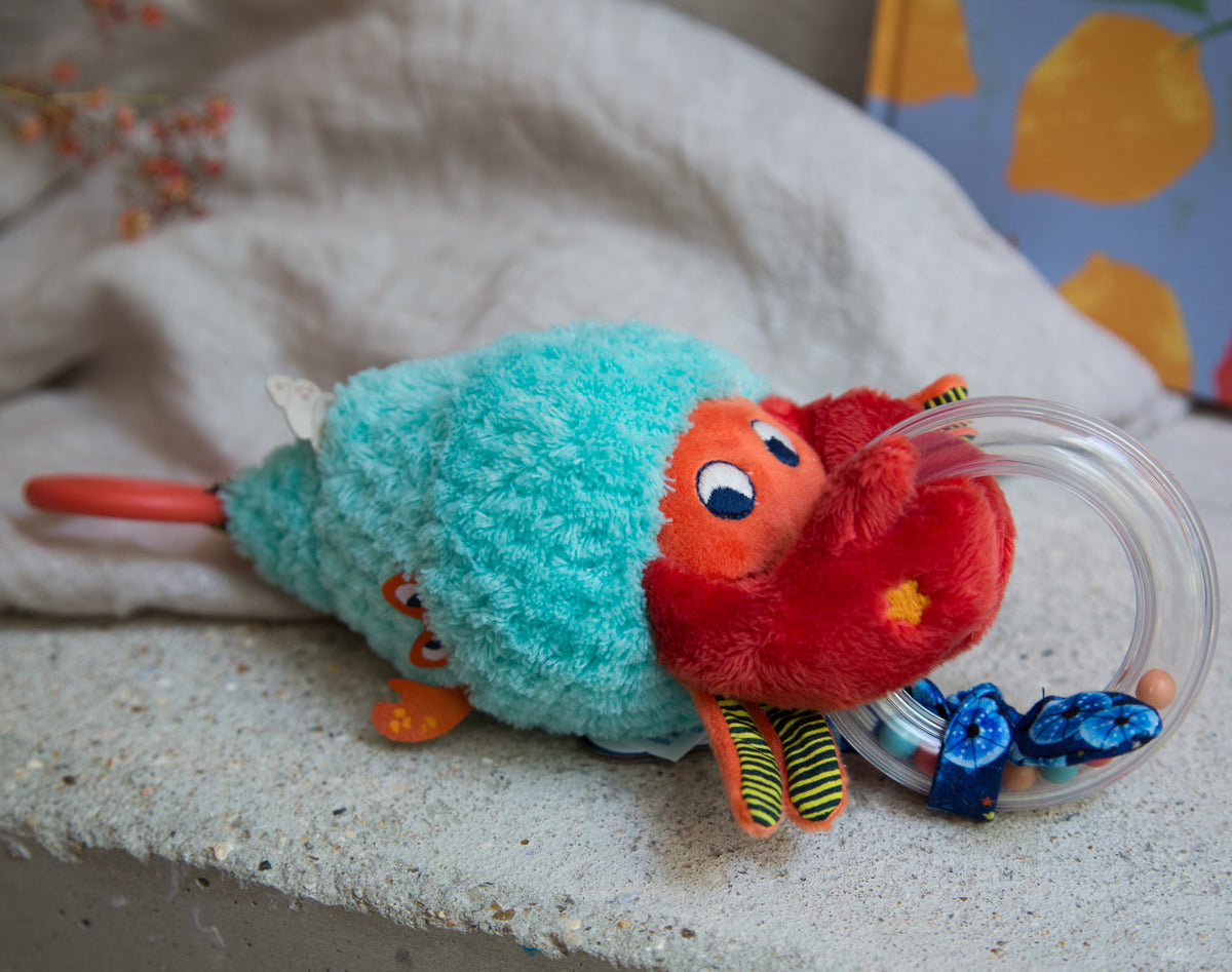 Brave Little Crab Activity Toy