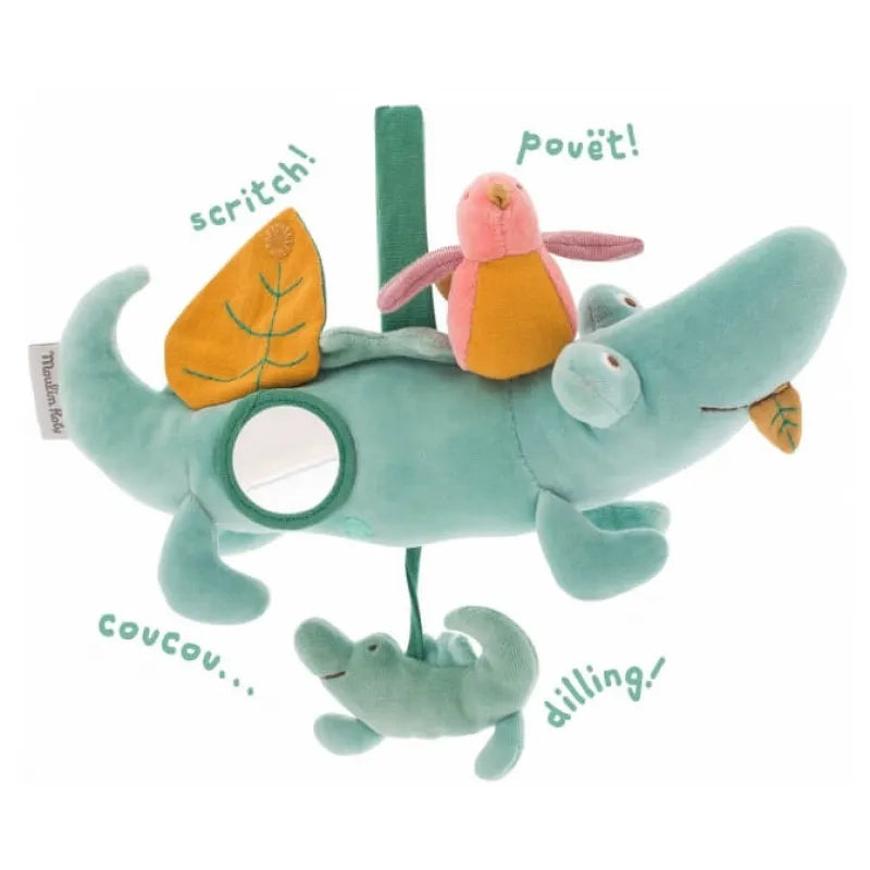 Bird and The Crocodile Activity Toy