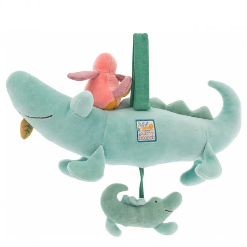 Bird and The Crocodile Activity Toy