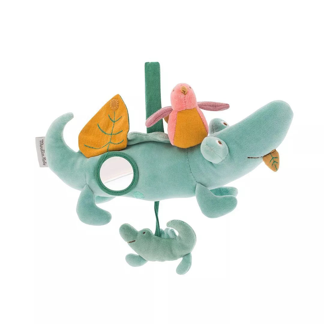Bird and The Crocodile Activity Toy