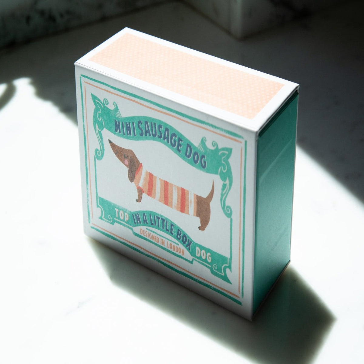 Baby Sausage Dog Wearing Striped Knitted Sweater