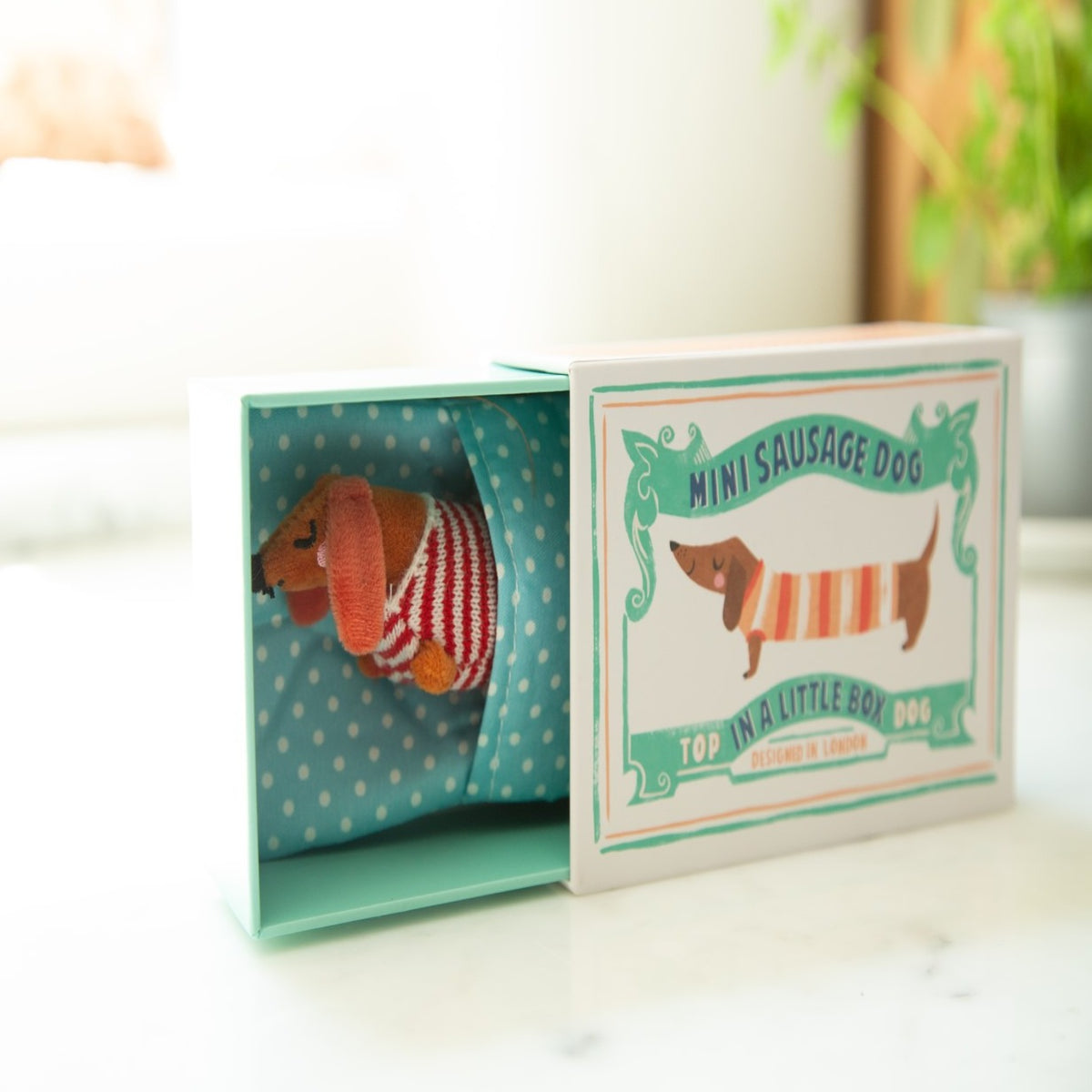 Baby Sausage Dog Wearing Striped Knitted Sweater