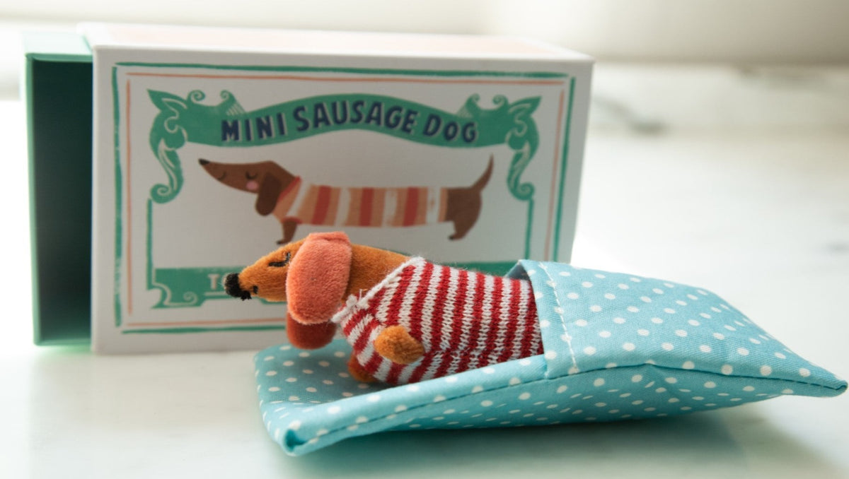 Baby Sausage Dog Wearing Striped Knitted Sweater