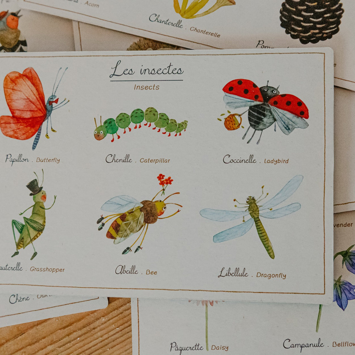 Loto Game for Children by Moulin Roty