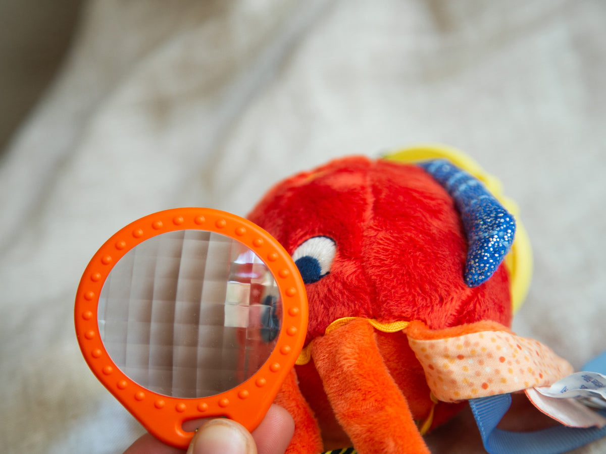 Baby Squid Activity Toy