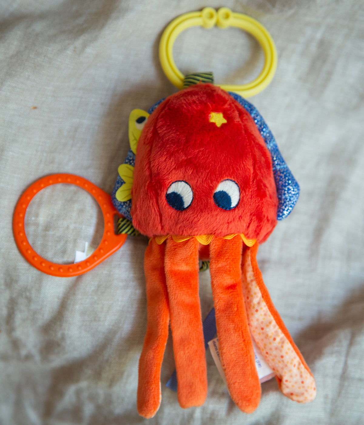 Baby Squid Activity Toy