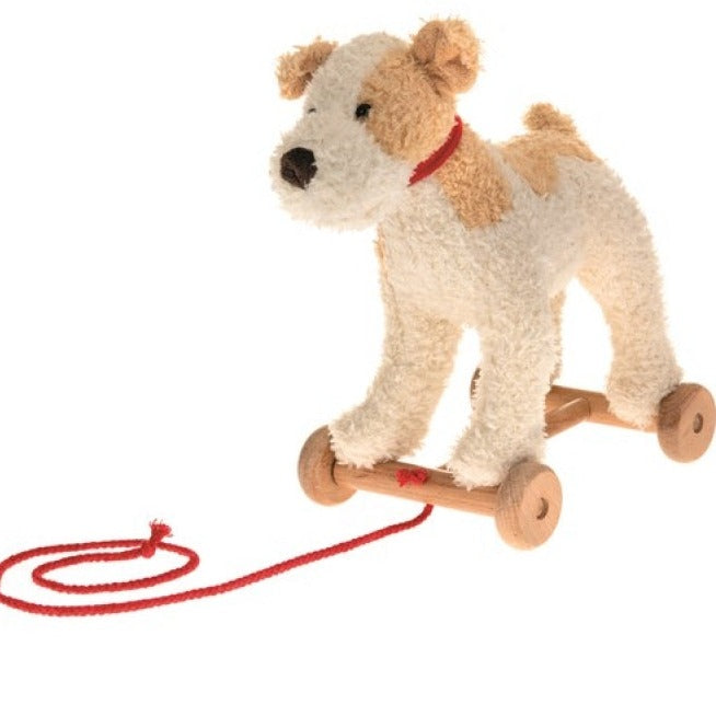 Dog Pull Along