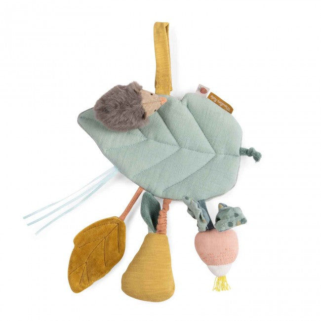 Hedgehog And The Leaf Activity Toy