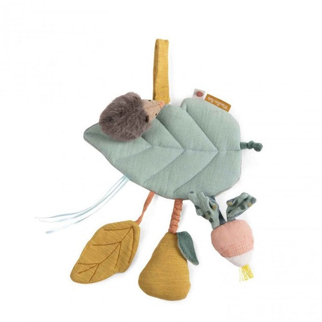 Hedgehog And The Leaf Activity Toy