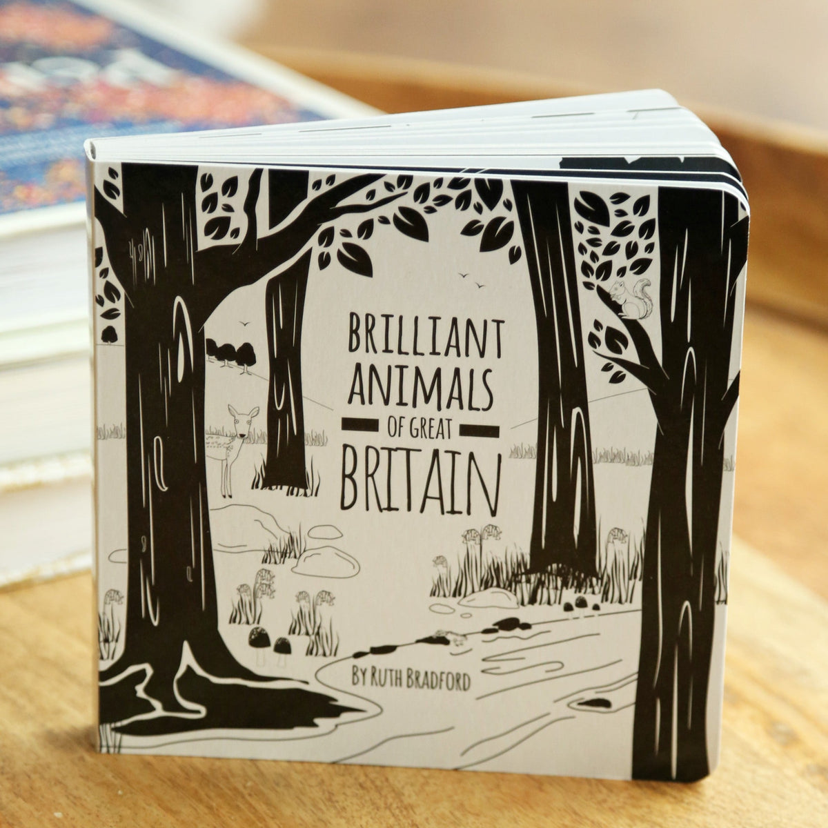 Black and White Baby Book