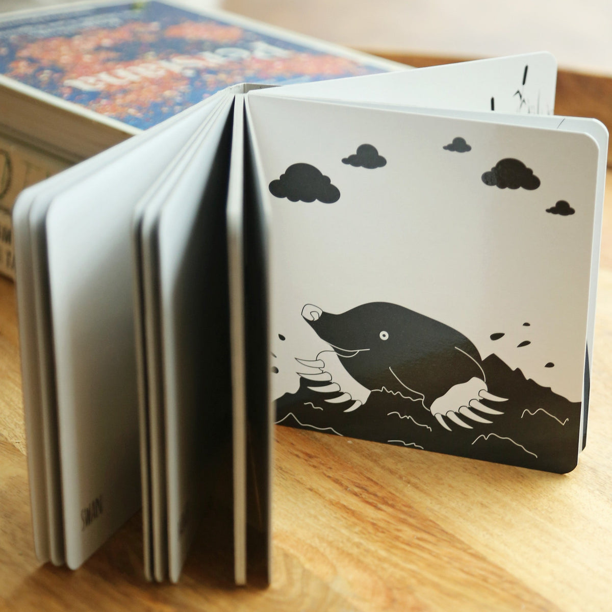 Black and White Baby Book