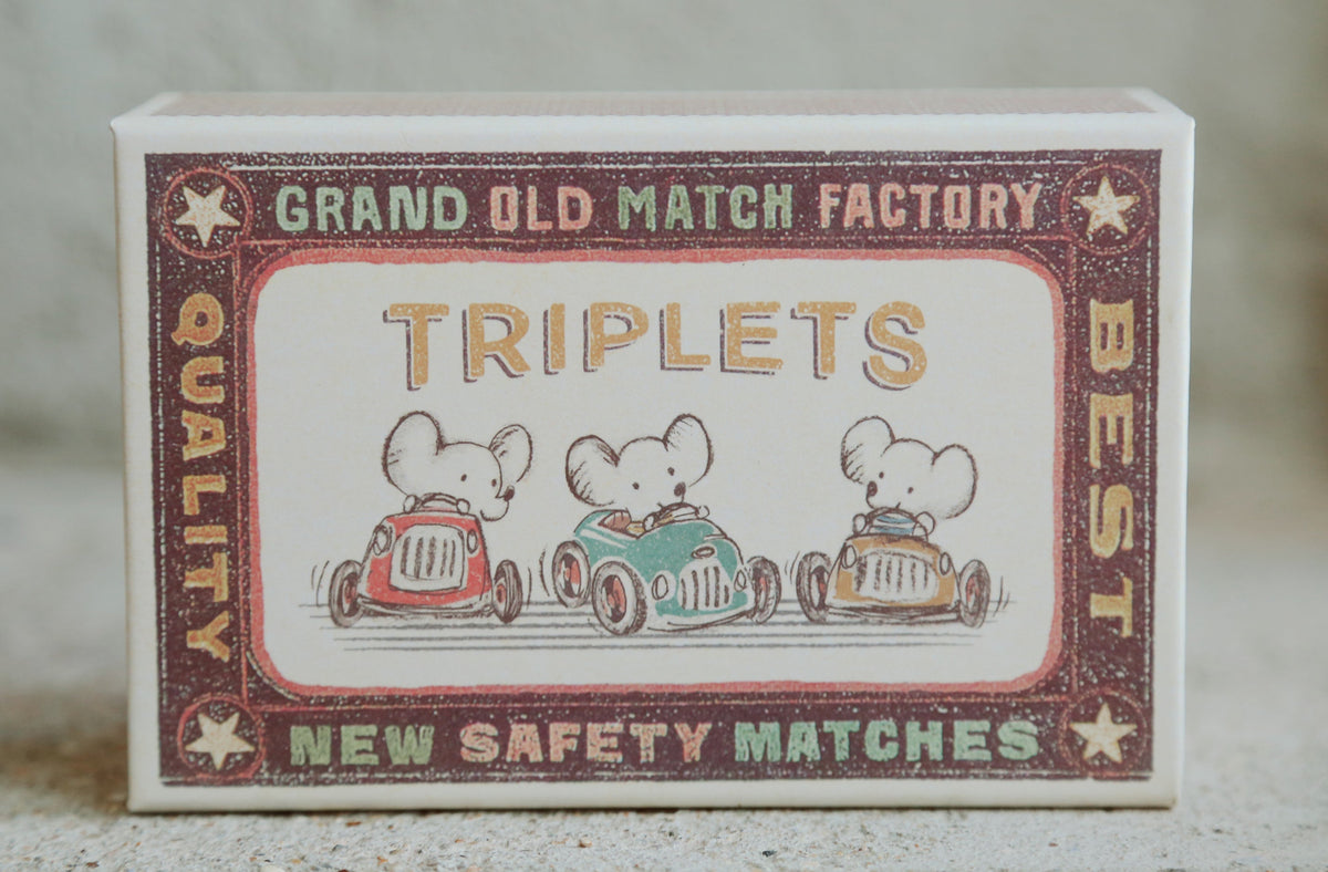 Baby Mice Triplets in a Matchbox