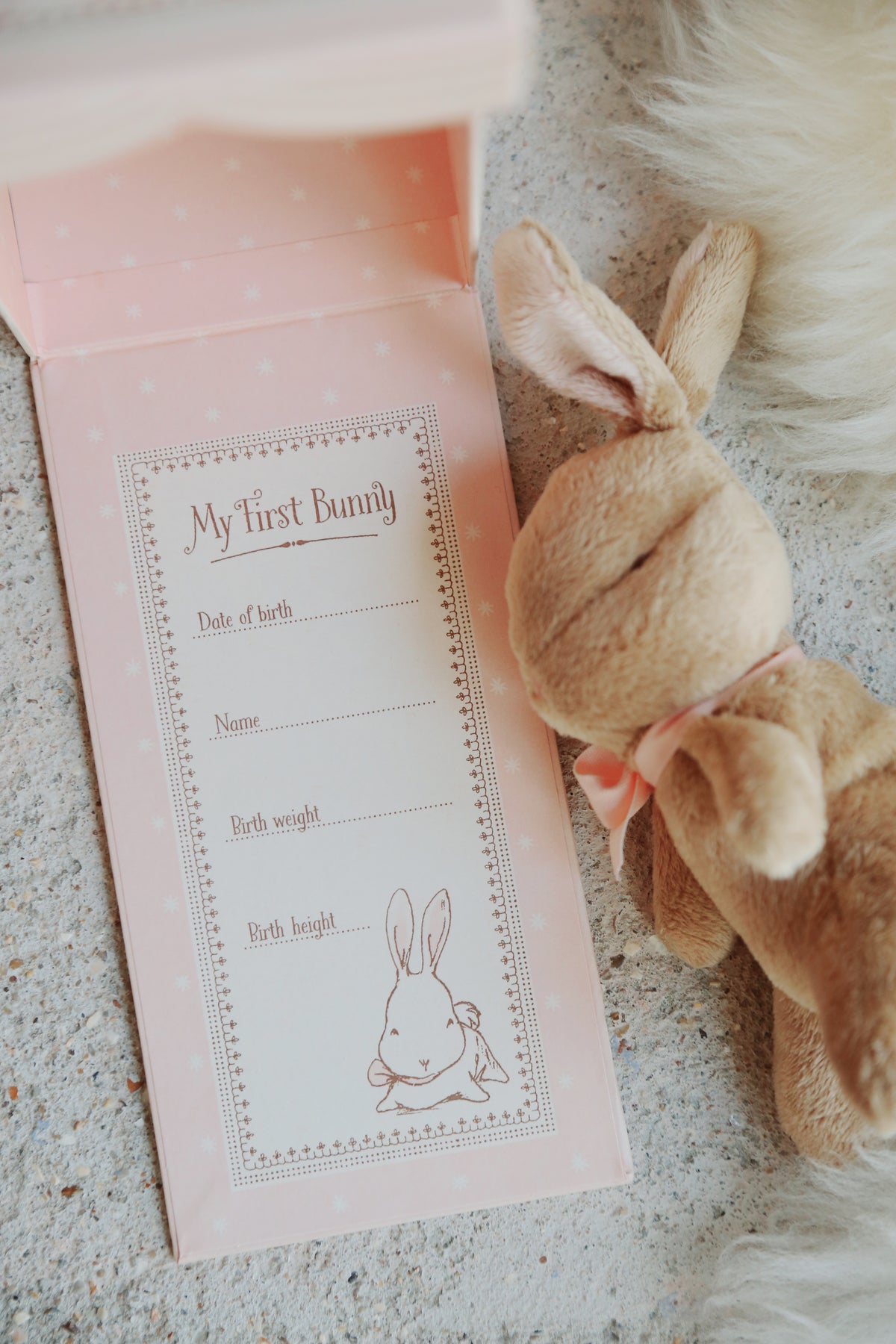 My First Pink Bunny in the Box by Maileg