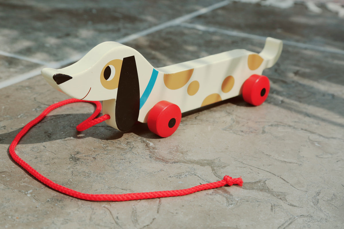 Charlie The Sausage Dog Wooden Pull Toy