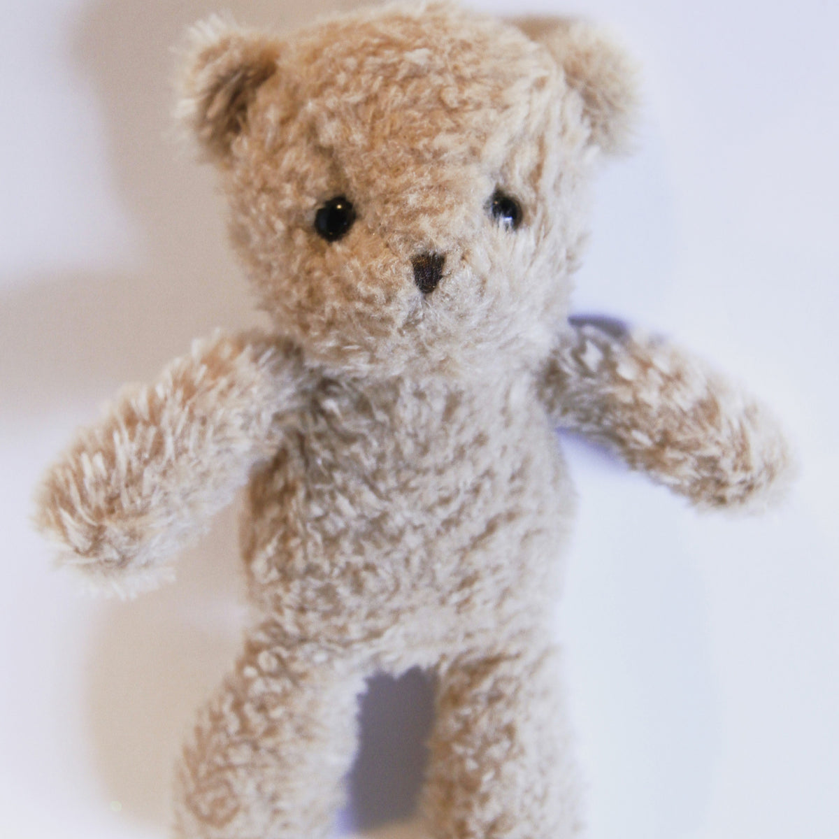Teddy Bear Plush Toy