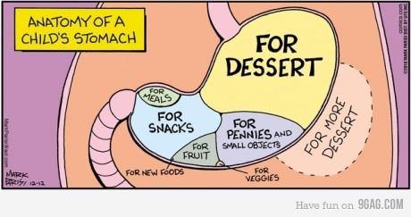 My Amazing Body Books made by Ruth Martin