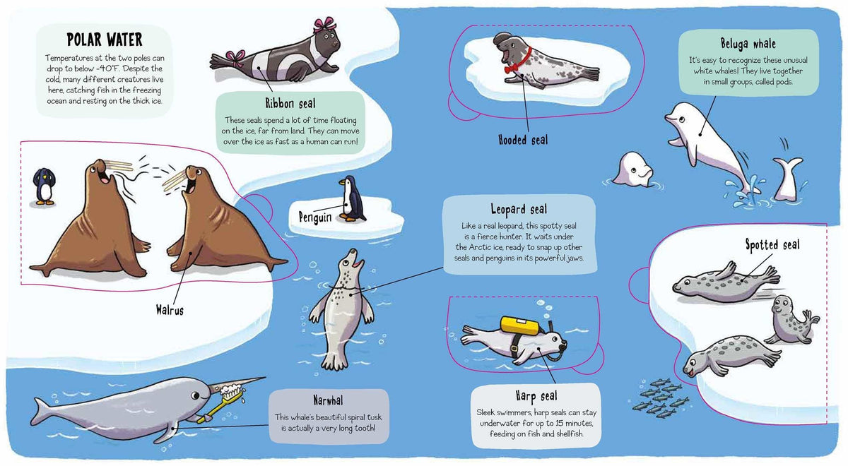 Under The Sea Books made by Ruth Martin