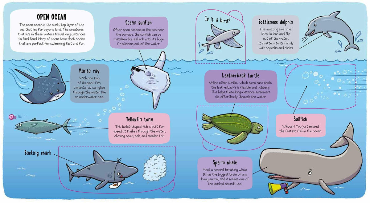 Under The Sea Books made by Ruth Martin