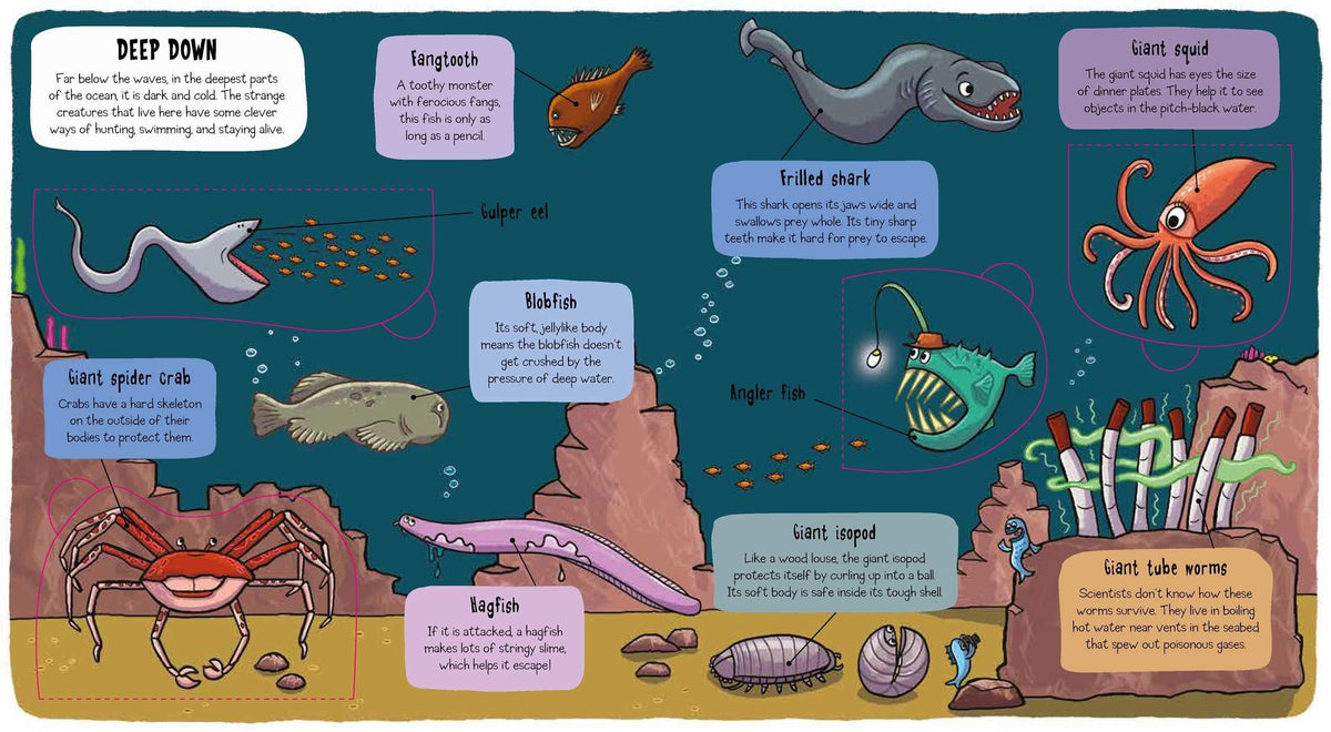 Under The Sea Books made by Ruth Martin